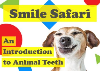 Henderson dentist, Dr. Hahn at Stephen P. Hahn DDS, takes readers on an exploration of animal teeth and explains why they can be so different from creature to creature.